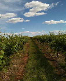 Chambers Rosewood Winery - Lightning Ridge Tourism 0