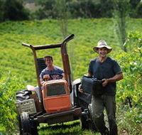 Kellybrook Winery  Kelly Brothers Cider - Lightning Ridge Tourism
