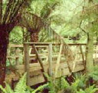 Mount Worth State Park - Lightning Ridge Tourism