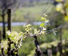 Michelini Wines - Lightning Ridge Tourism 0