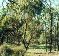 Leaghur State Park - Lightning Ridge Tourism