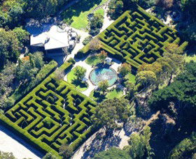 Ashcombe Maze & Lavender Gardens - Lightning Ridge Tourism 0