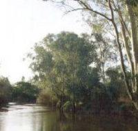 Banksia Park - Lightning Ridge Tourism