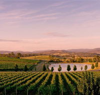 Oakridge Wines - Lightning Ridge Tourism