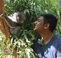 Healesville Sanctuary - Lightning Ridge Tourism