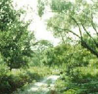 Holey Plains State Park - Lightning Ridge Tourism