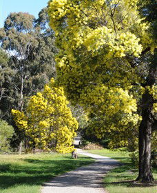 Surrey Hills VIC Lightning Ridge Tourism