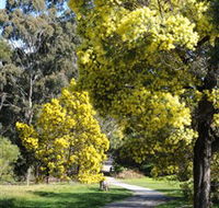 Wattle Park - Lightning Ridge Tourism
