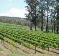 Piedmont Vineyard - Lightning Ridge Tourism