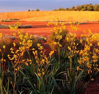 Royal Botanic Gardens Victoria Cranbourne - Lightning Ridge Tourism