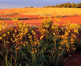 Royal Botanic Gardens Victoria Cranbourne - Lightning Ridge Tourism 0