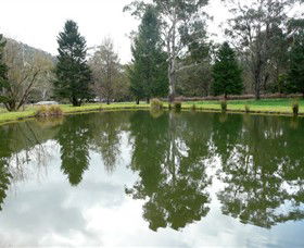 Harrietville VIC Lightning Ridge Tourism