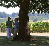 Five Oaks Vineyard - Lightning Ridge Tourism
