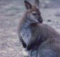 Churchill National Park - Lightning Ridge Tourism