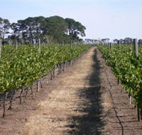 Mount Beckworth Wines - Lightning Ridge Tourism