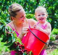 Cherryhill Orchards - Lightning Ridge Tourism