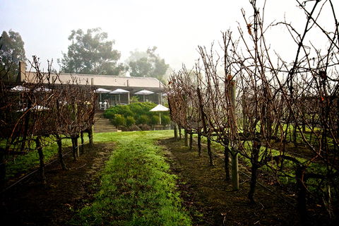 GREENSTONE VINEYARDS - Lightning Ridge Tourism 4