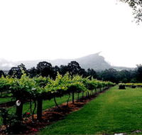 Cambewarra Estate Wines - Lightning Ridge Tourism