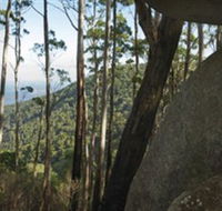Gulaga National Park - Lightning Ridge Tourism