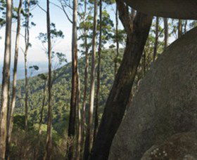 Gulaga National Park - Lightning Ridge Tourism 0