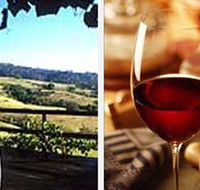 Jasper Valley Wines and Vines Cafe - Lightning Ridge Tourism