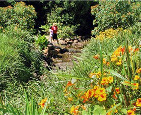 Bonaira Native Gardens - Lightning Ridge Tourism 0