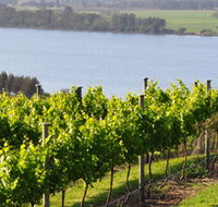 Two Figs Winery - Lightning Ridge Tourism