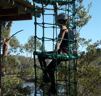 Trees Adventure Shoalhaven - Lightning Ridge Tourism