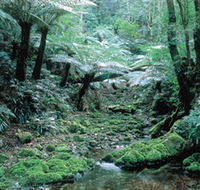 Deua National Park - Lightning Ridge Tourism