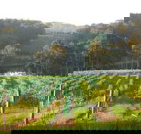 Tilba Valley Wines - Lightning Ridge Tourism