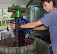 Fern Gully Winery - Lightning Ridge Tourism