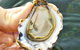 The Oyster Pot - thumb 0
