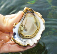 The Oyster Pot - Lightning Ridge Tourism