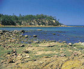 Aslings Beach - Lightning Ridge Tourism 0