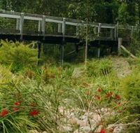Eurobodalla Botanic Gardens - Lightning Ridge Tourism