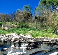 Abrahams Bosom Reserve - Lightning Ridge Tourism