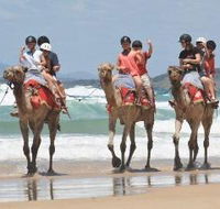 Camel Rides with Coffs Coast Camels - Lightning Ridge Tourism