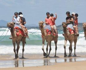 Camel Rides With Coffs Coast Camels - Lightning Ridge Tourism 0