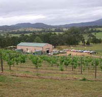Villa d Esta Vineyard - Lightning Ridge Tourism