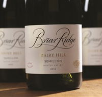 Briar Ridge Vineyard - Lightning Ridge Tourism