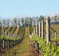 Philip Shaw Wines - Lightning Ridge Tourism