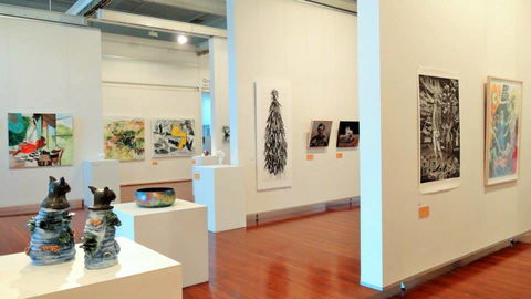 Muswellbrook Regional Arts Centre - Lightning Ridge Tourism 5