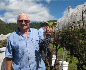 Razorback Ridge Wines - Lightning Ridge Tourism 8