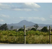 Ironbark Ridge Vineyard - Lightning Ridge Tourism