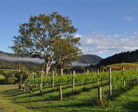 Sarabah Estate Vineyard - Lightning Ridge Tourism 1