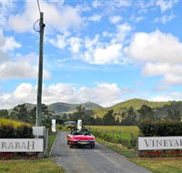 Sarabah Estate Vineyard - Lightning Ridge Tourism