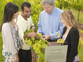 Jacob's Creek Vineyard Tour - Lightning Ridge Tourism 0