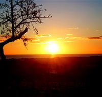 Rocky Ridge Vineyard and Cellar Door - Lightning Ridge Tourism