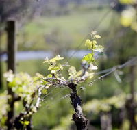 Galli Estate Winery - Lightning Ridge Tourism