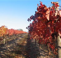 Kooyonga Creek Wines - Lightning Ridge Tourism